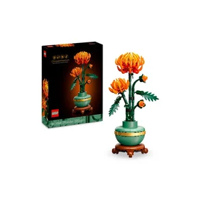 Chrysanthemum
