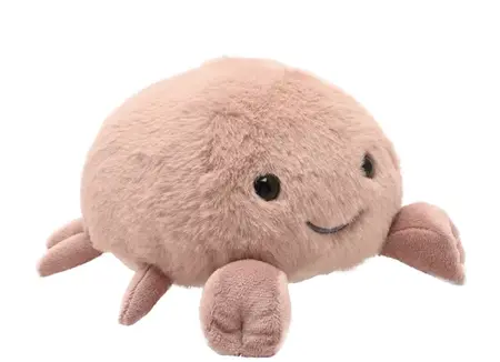 Claire The Plush Crab 16cm - image 3