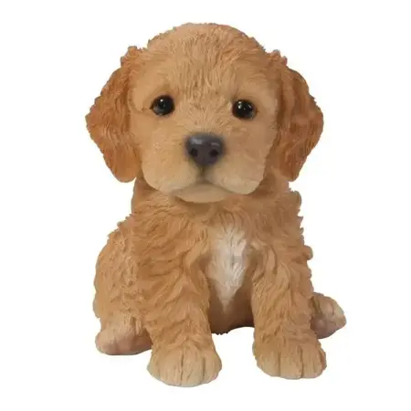 PP Cockapoo Puppy Brown