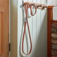 Collars & Accessories