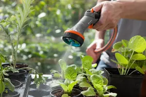 Comfort Sensitive Plant Sprayer - image 2