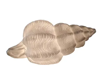 Conch Shell Lamp - image 1