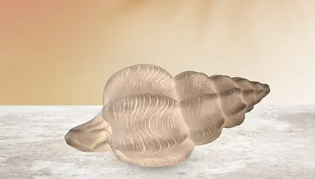 Conch Shell Lamp - image 2