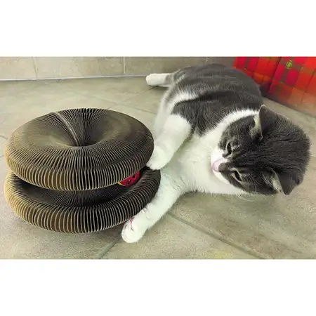 Crazy Cat Toy - image 1
