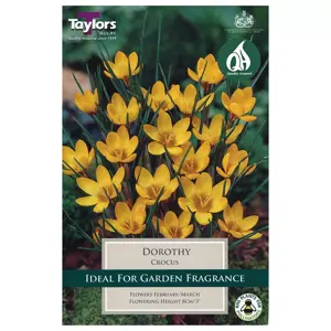 Crocus Dorothy 5-7 P/P