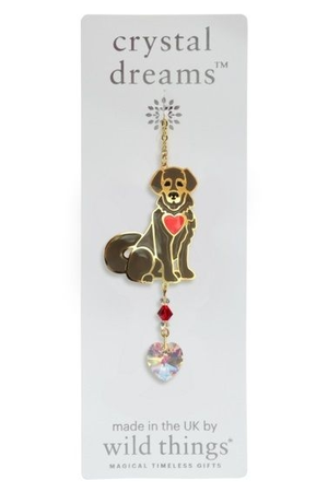 Crystal Dreams Puppy Brown