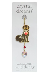 Crystal Dreams Puppy Brown