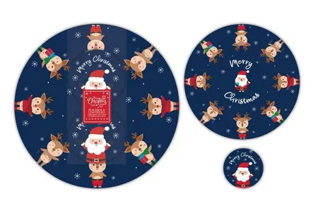 Cute Christmas 4 Placemats & 4 Coasters