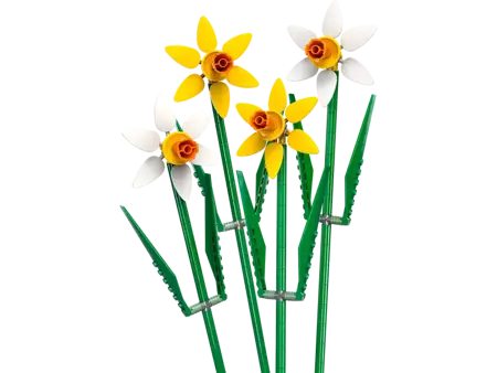 Daffodils - image 1