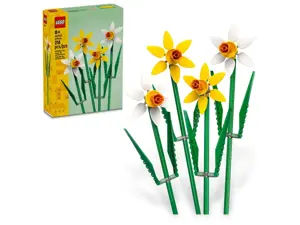 Daffodils - image 2