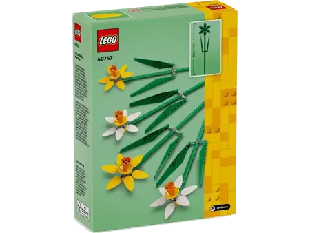 Daffodils - image 4