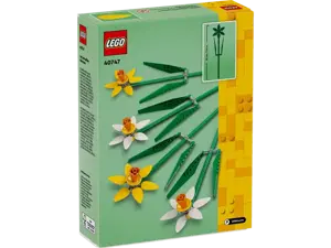 Daffodils - image 4