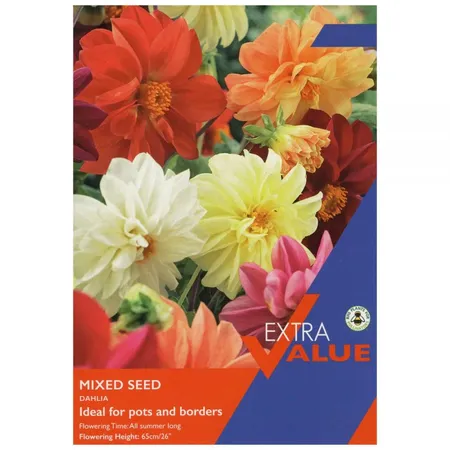 Dahlia Mixed Seed Ii Esv