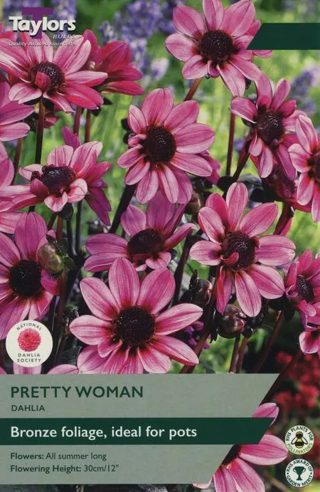 Dahlia Pretty Woman I P/P