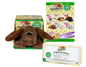 Dark Brown / Zany (Eco Friendly) - image 1