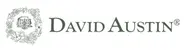 David Austin Roses