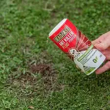 Deadfast Ant Killer Plus Powder 150g - image 3