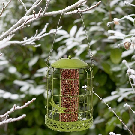 Décor Squirrel Proof Peanut Feeder