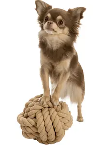 Dog Rope With Ball 13Cm