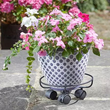 Elegance Pot Caddy 25 cm