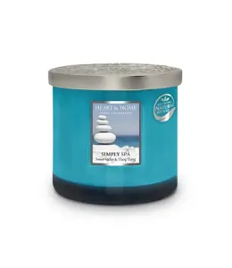 Ellipse Twin Wick Jar  Simply Spa - image 2