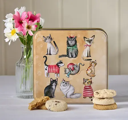 Emb Cats in Jumpers Tin - image 1