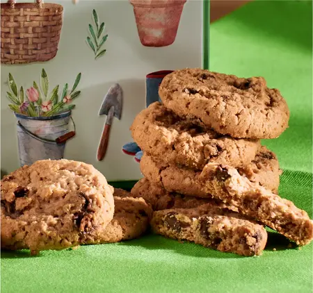 Embossed Pottering Garden Tin - image 3