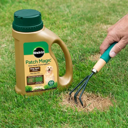 EV - Miracle-Gro Patch Magic Dog Spot  - 1293g - image 3