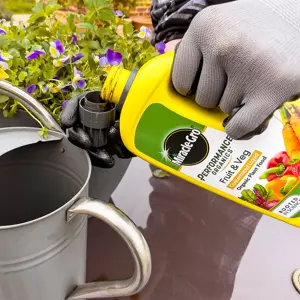 EV - Miracle-Gro Perf Org F&V Conc 6X800Ml - image 2