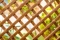 Fence & Trellis