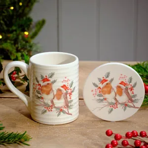 Festive Robin Ceramic Mug And Coaster Set Boxed