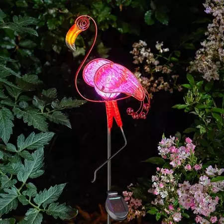 Flamingo - image 1