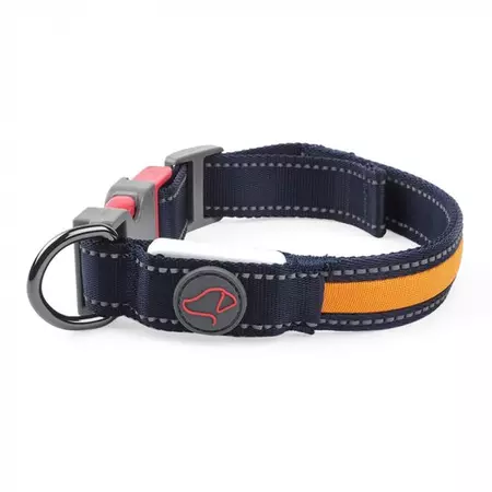L (45cm-62cm) Flash & Go Rechargeable Night Dog Collar