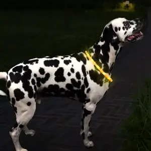 USB Rechargable 'See-Dog' Ring - S/M