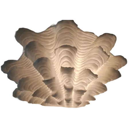 Fluted Clam Lamp - image 2