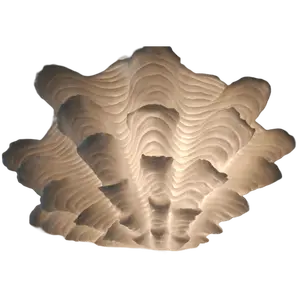 Fluted Clam Lamp - image 2