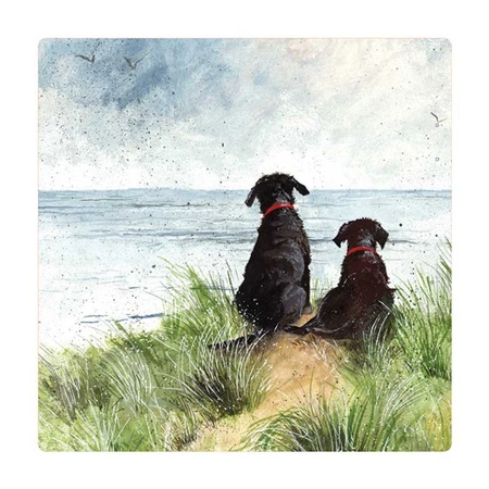 Fm222 Dunes Fridge Magnet