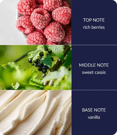 Fragrance Diffuser - Baubles & Berries - image 3