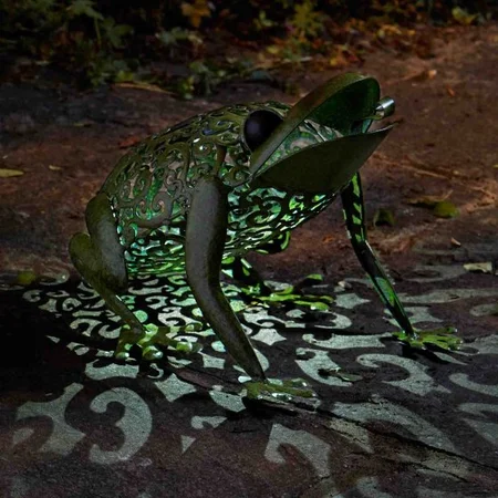 Frog - image 1