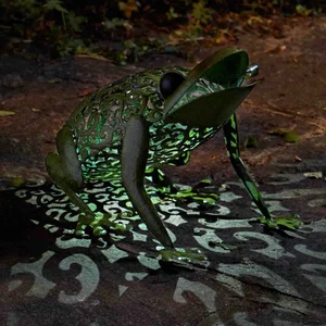 Frog - image 1