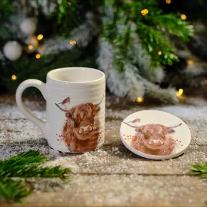 Frosted Highland Cow Ceramic Mug And Coaster Set Boxed