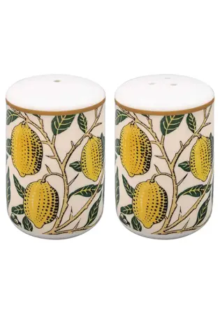 Fruits Salt & Pepper