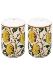 Fruits Salt & Pepper