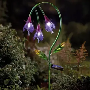 Fuchsia - image 1