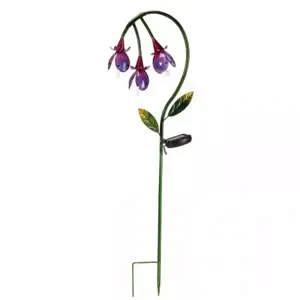 Fuchsia - image 2