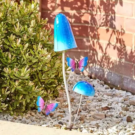 Funky Funghi Stakes, Mixed Case - image 1