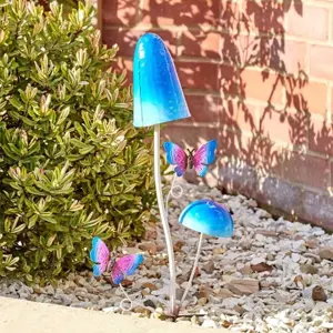 Funky Funghi Stakes, Mixed Case - image 1