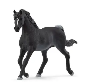 # fw ARAB STALLION
