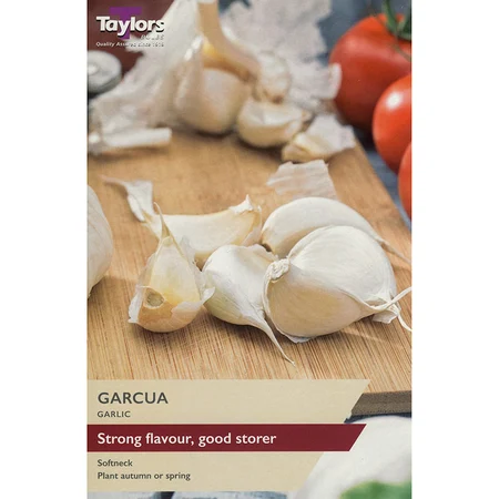 GARLIC GARCUA  50-60 P/P