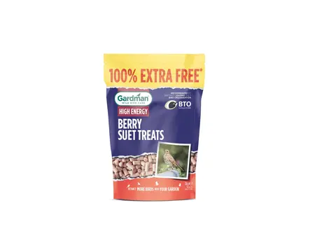 Gardman Berry Suet Treats Wild Bird Food 500g + 100% Extra Free